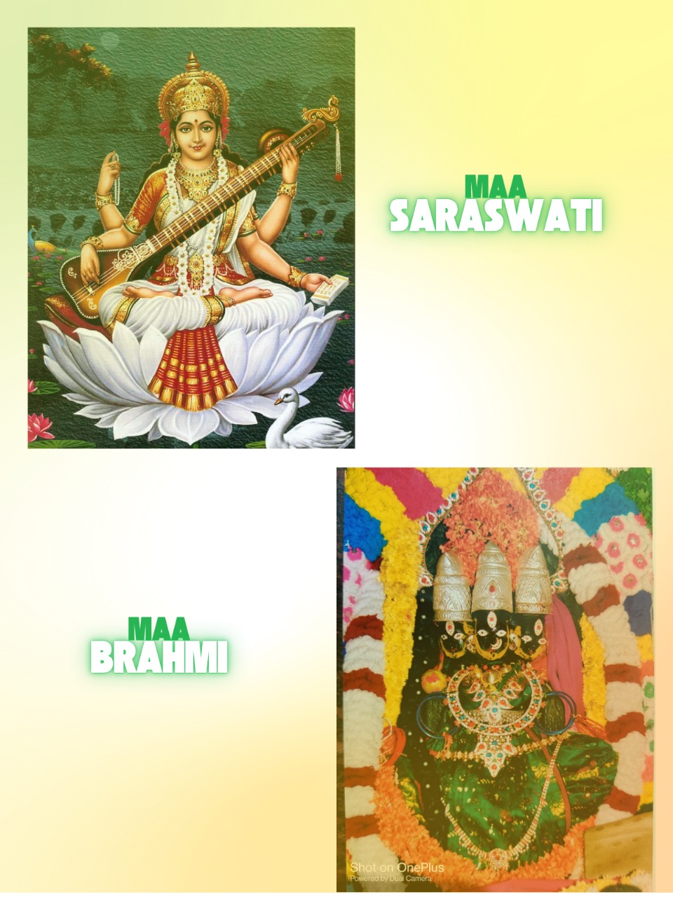 WhatsApp Image 2025-07-09 at 10.21.27 AM